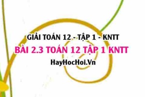 Giải 2.3 Toán 12 tập 1 SGK Kết nối tri thức